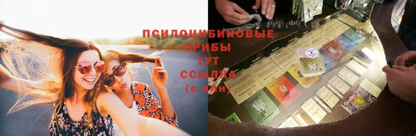шишки Белокуриха
