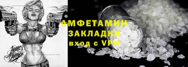 шишки Белокуриха