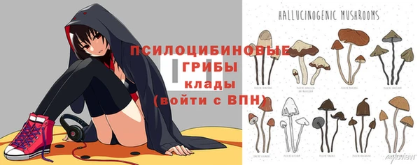 шишки Белокуриха