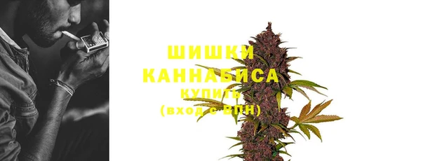 шишки Белокуриха