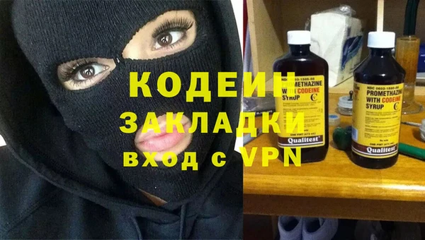шишки Белокуриха