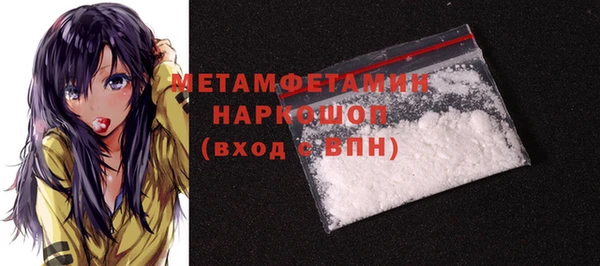 шишки Белокуриха