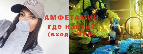 шишки Белокуриха
